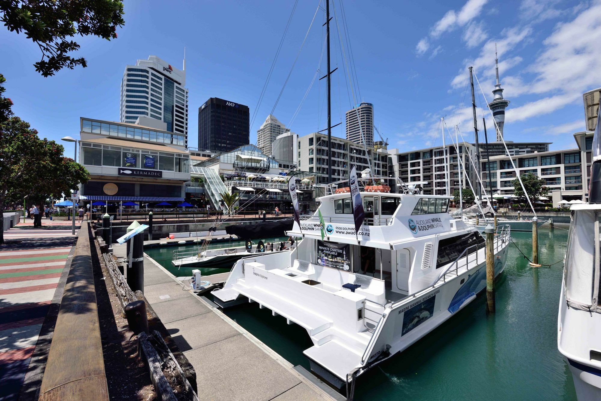 Furnished Apartment In Auckland Cbd Bagian luar foto